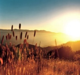 atardecer