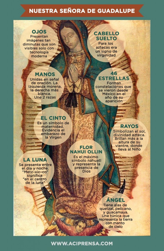 Imagen explicada de la Virgen de Guadalupe