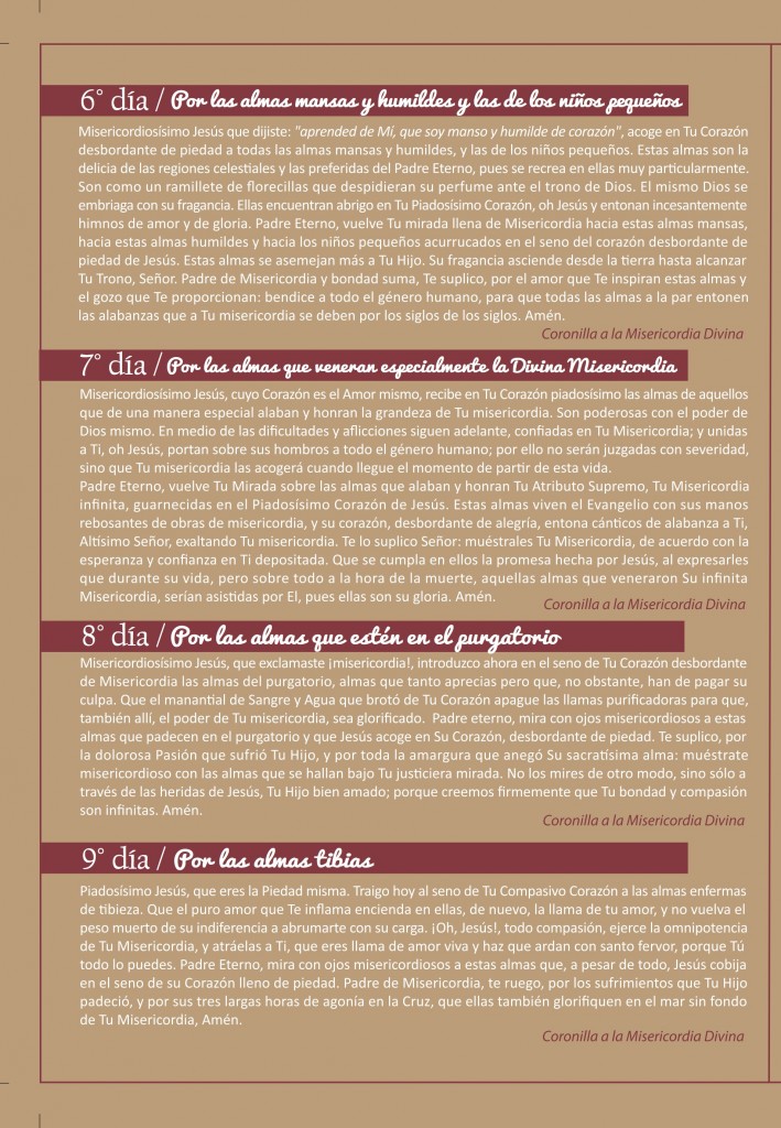 Novena Divina Misericordia (página 4)