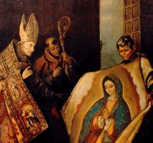 Manto Virgen de Guadalupe (ft img)