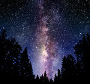 camino de estrellas (ft img)